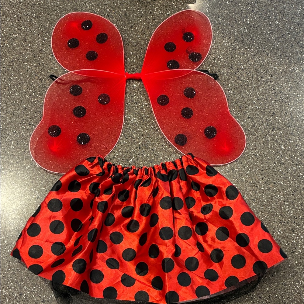 Kids Red and Black Ladybug Costume Skirt & Wings Set